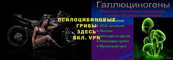 PSILOCYBIN Абдулино