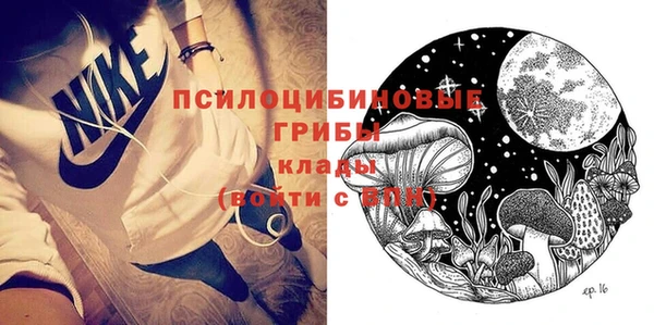 ECSTASY Абаза