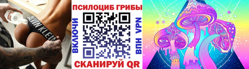 Псилоцибиновые грибы мицелий  как найти наркотики  Королёв 
